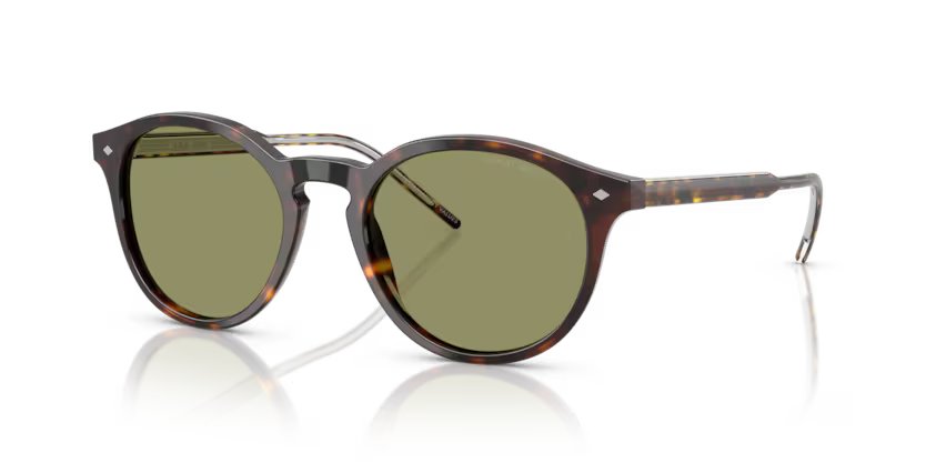 Giorgio Armani AR8211 587914 52 Erkek Güneş Gözlüğü