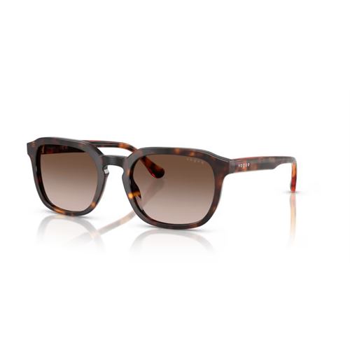 Vogue VO5595SI W65613 53 Unisex Güneş Gözlüğü