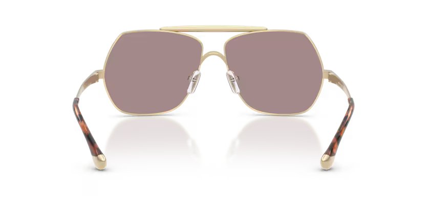 Michael Kors MK1173 1014LA 58 Kadın Güneş Gözlüğü