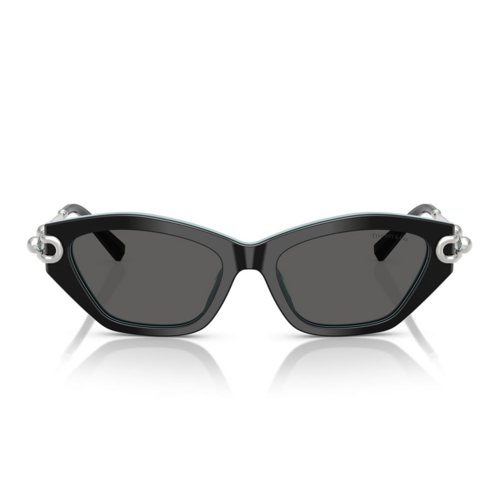 Tiffany TF4231U 8055S4 53 Kadın Güneş Gözlüğü
