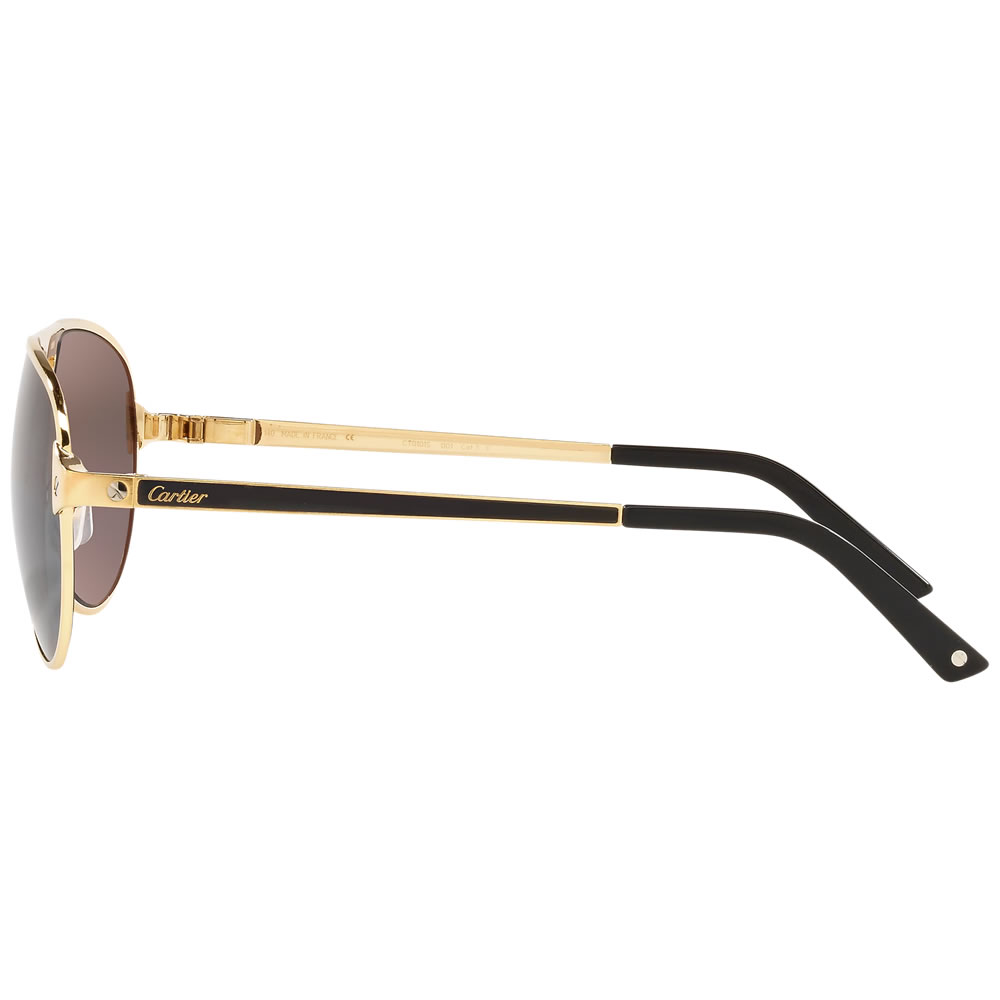 Cartier CT0101S 001 Unisex Güneş Gözlüğü